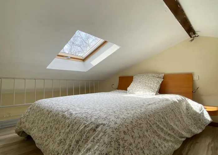 Grand Appartamento Salles-sous-Bois